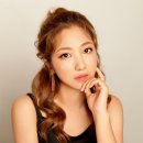 팔미시스템 이미지