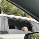 유니카페 이미지