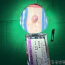 으뜸원동물병원 이미지