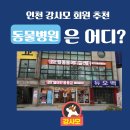 웰동물메디컬센터 이미지