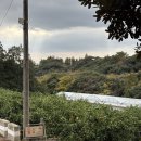 시전농장 이미지