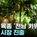 유럽 진출 쾌거 '전남 키위'...10년 동안 '로열티'만 150억 원! / YTN _부여군, 우즈베크에 대규모 농업단지 조성 이미지