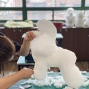 부산펫(주) 이미지