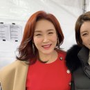 진달래 티브이데일리