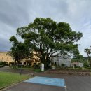 천주교 순례길 - 하논성당길 이미지