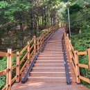용인대덕초등학교 이미지