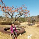 팔용산 테마공원 이미지