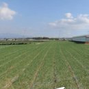 제주시 차량관리과 자동차등록사무소 이미지