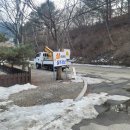 퍼피랜드 이미지