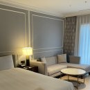 예술조형물(바람개비 | [제주⭐서귀포] 중문 롯데호텔 제주 샤롯데 디러스룸 가든뷰 8층 876호 방문 후기!