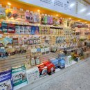 파티가는 댕댕이 이미지