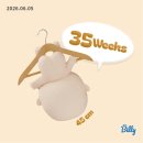 해솔중기 | 35주 일상 주수별 개월수정리 다음주는 10개월!? _성심당