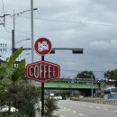 후드 로스터스 이미지