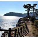 거제지심도 이미지