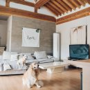 청송면옥 | 경주 애견카페 TOP10 (애견운동장·봄 시즌)