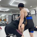 골드 레슬링 태릉 이미지