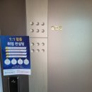 전단지배포대전광고