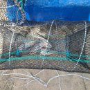 숙이네민박 이미지