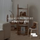 둘째 육아맘이 UV 젖병소독기 비교 후 고른 픽셀 사용후기 추천