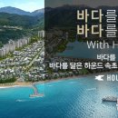 스테이하운드