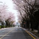 버스정류소_세천동 이미지