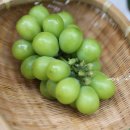 장터상회 이미지