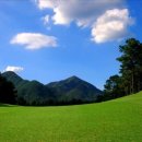 현충원로(유성-19) 이미지