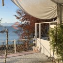 여기서 놀개 이미지