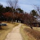 삼미천 | 바램길 1코스 (세미래공원~ 선녀바위) - 대전 걷기