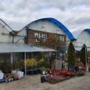 한빛 꽃농원 이미지