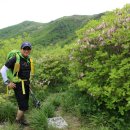 소백산 - 금천구 시흥대로58길 13 | 소백산