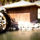 심청주유소 이미지