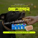 야탑그린약국 이미지