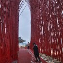 와이식당 이미지