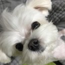 멈무드(mumood) 이미지