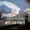 울산 장생포고래박물관 | [체험박물관]울산 장생포 고래 박물관 후기, 모노레일, 근처 나들이코스