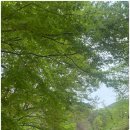 미니스톱 안성칠장사점 | [안성 칠장사] 박문수 어사 합격 다리에서 찾은 뜻밖의 평온