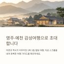 예천중앙시장 | 영주·예천 감성여행 루트 추천: 자연·역사·음식 완벽 가이드