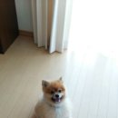 미화양품 이미지