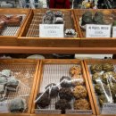 자매제과 서곡점 이미지