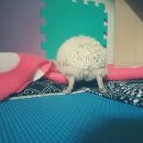 쿄오오늘