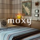 목실 | 밴프 호텔 추천 | 목시 밴프 Moxy Banff 위치, 가격, 객실, 주차, 후기 총정리