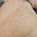 별내동17통(동익미라벨39단지) | 남양주 별내 와이뷰라인에서 알라딘필링 등관리 받았어요