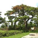 코리아레드파인 이미지