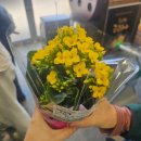 농협 장성군 로컬푸드직매장 | 장성 농협 로컬푸드직매장