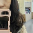 수정애견미용실 이미지