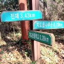 일심사