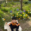 남국어린이집 이미지