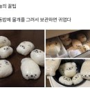 더머거 이미지