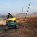 신암면030 이미지